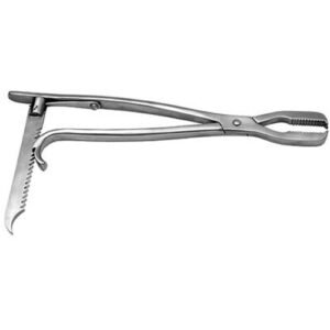 Bone Holding Forceps